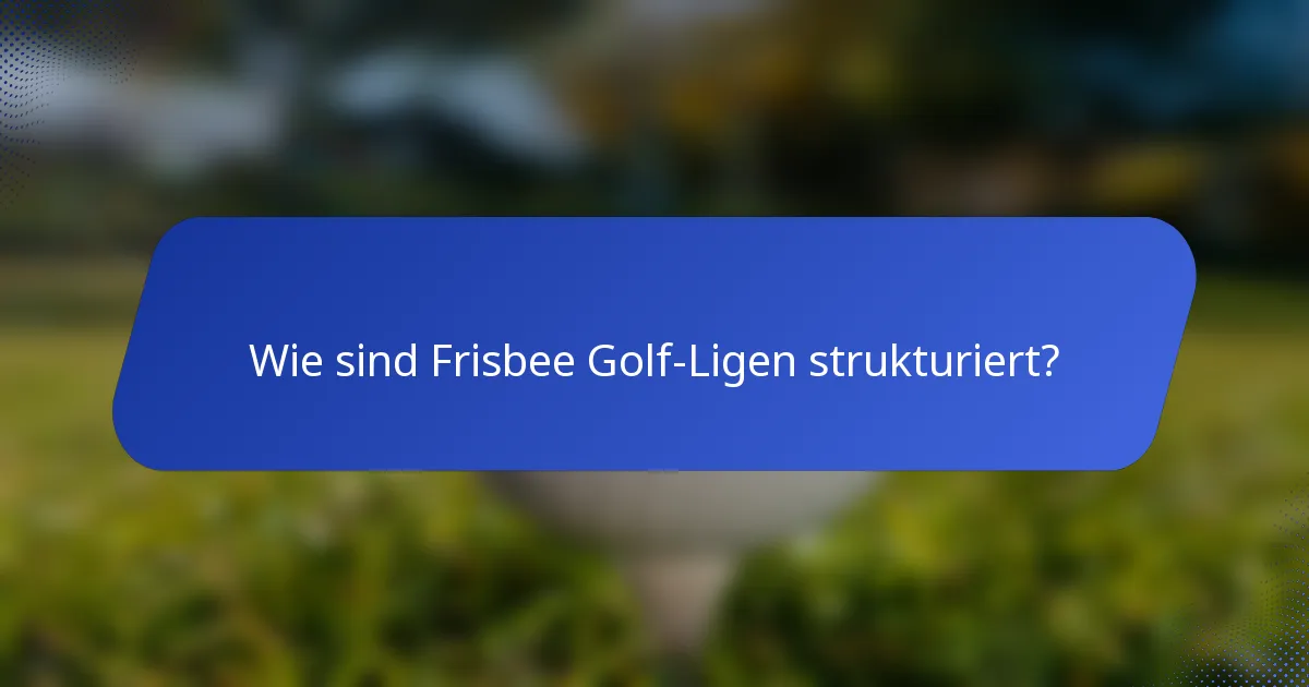 Wie sind Frisbee Golf-Ligen strukturiert?
